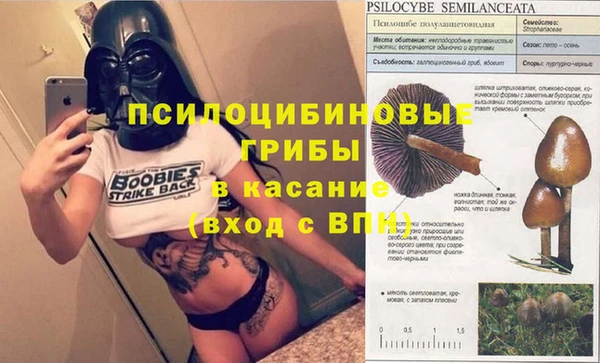 МДПВ Абинск
