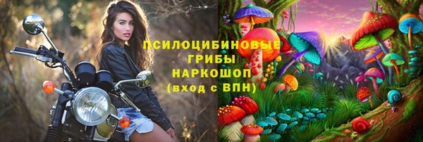 дмт Абаза