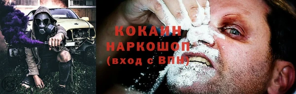 дмт Абаза