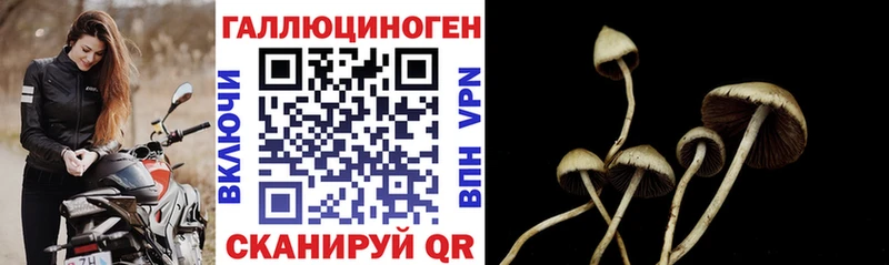 гидра как войти  Саранск  Галлюциногенные грибы Psilocybe 