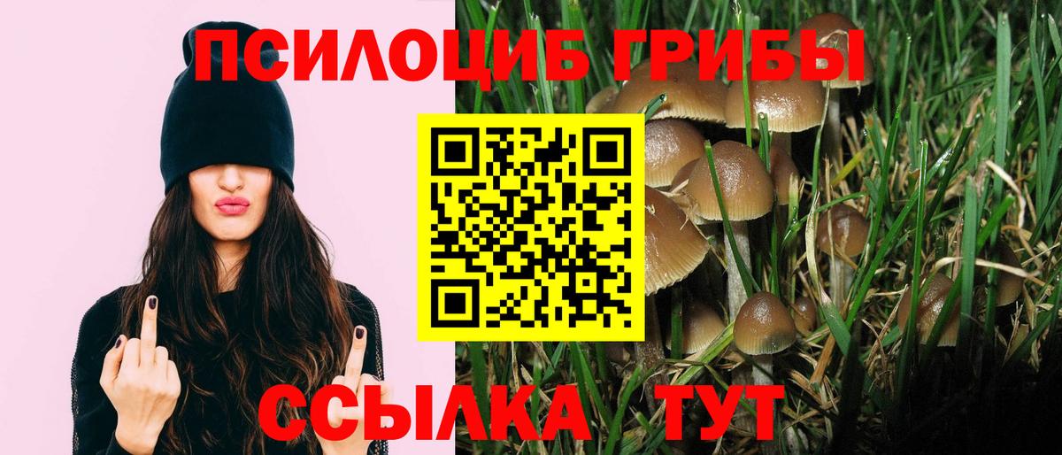Саранск  Псилоцибиновые грибы GOLDEN TEACHER  Галлюциногенные грибы мицелий  где купить   Вход с VPN 