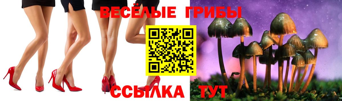 Галлюциногенные грибы мухоморы Саранск