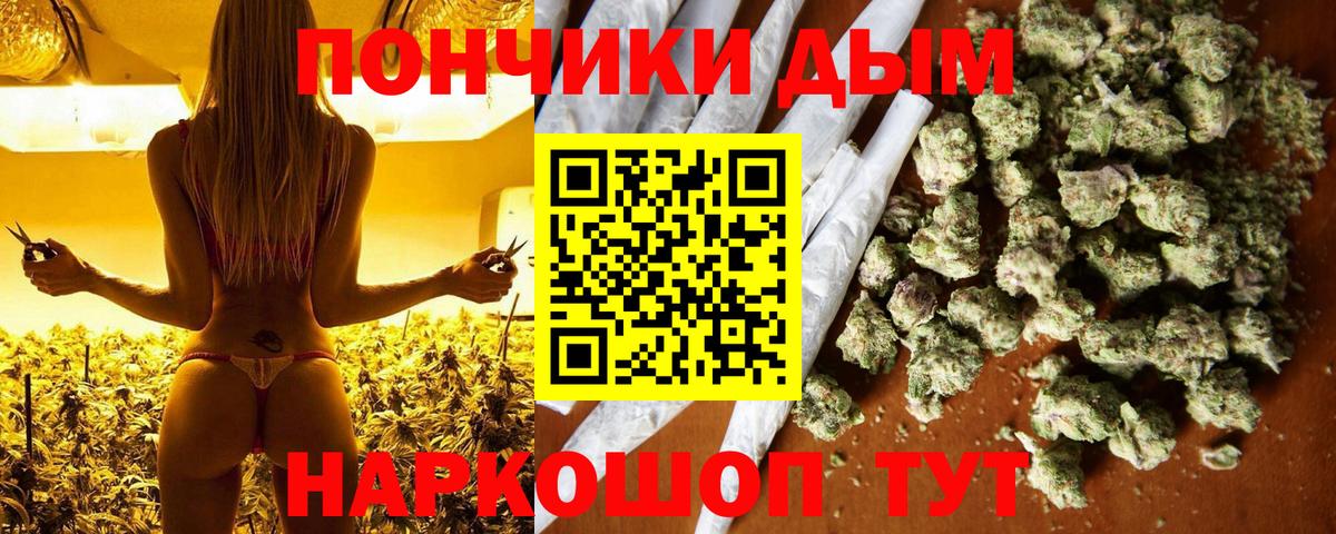Конопля конопля Саранск